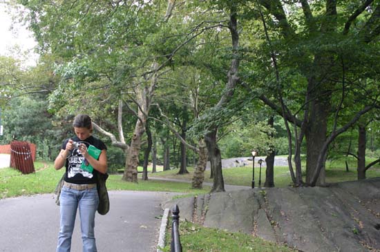 CentralPark